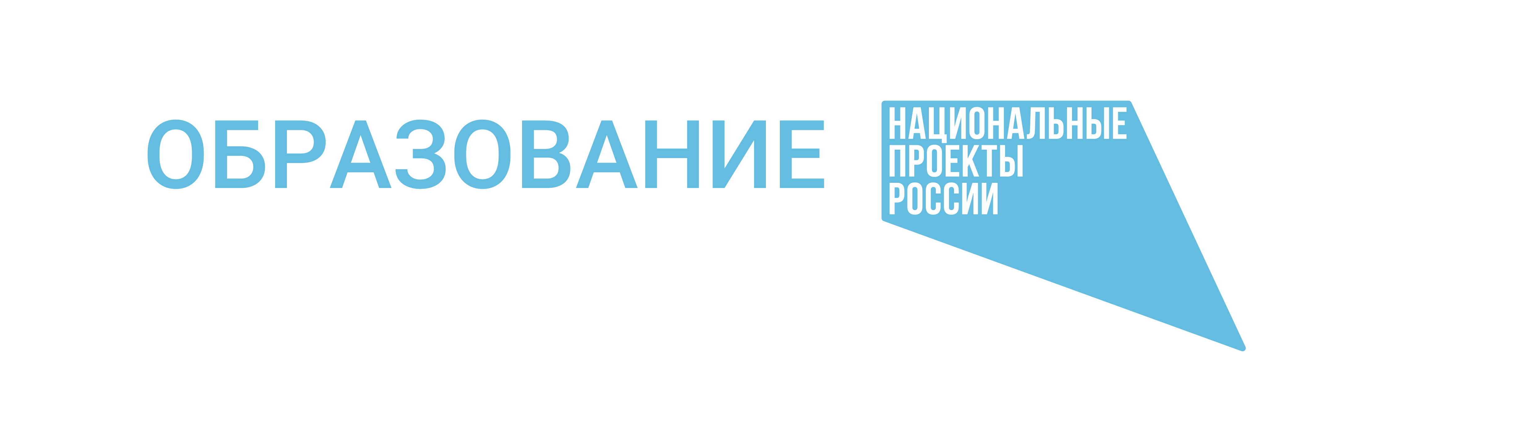 Национальный проект образование направления